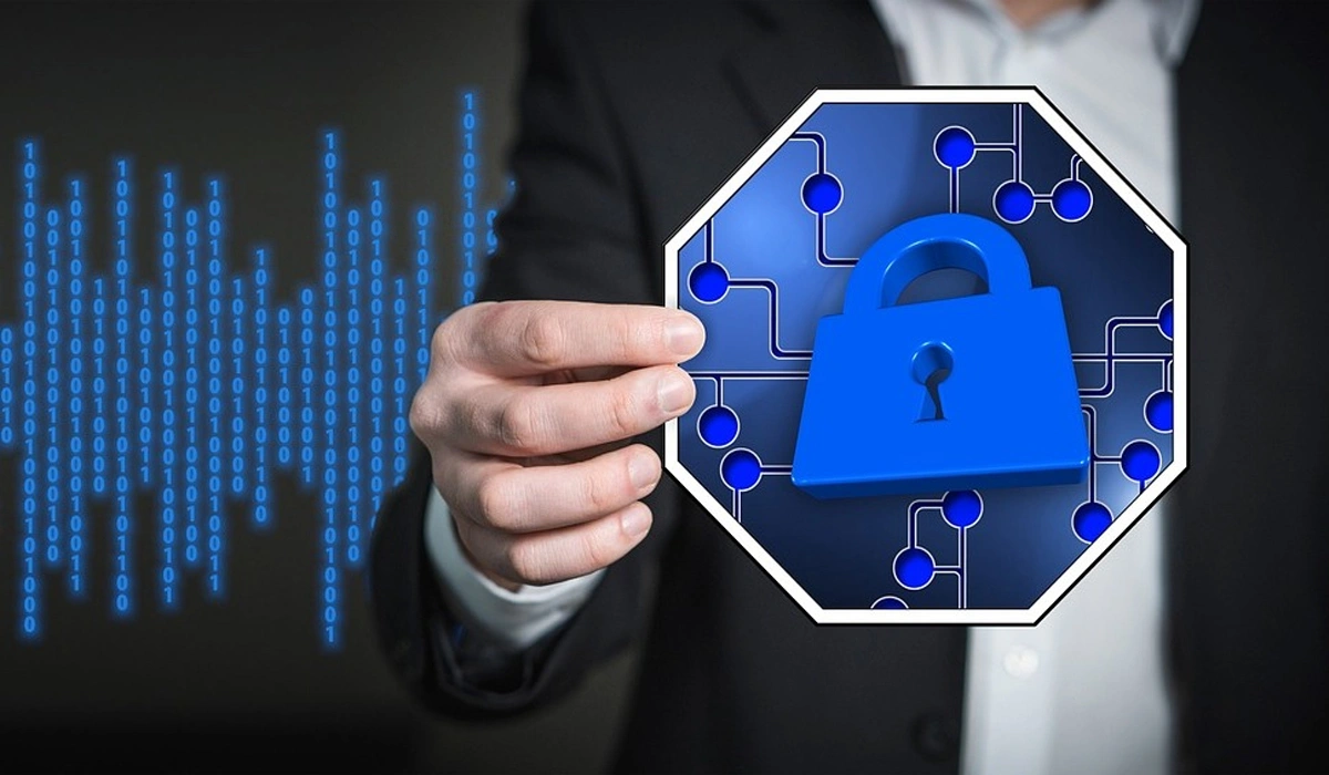 Security and Privacy Software