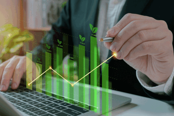 Professional Business Solutions And Services For Sustainable Growth