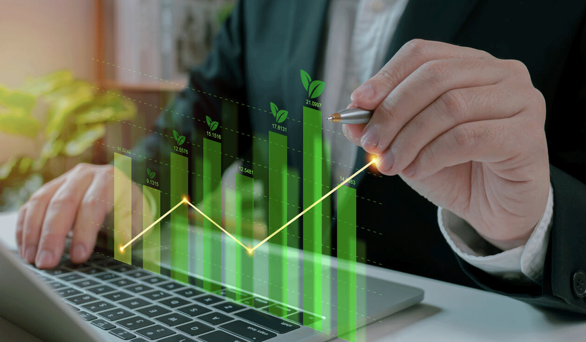 Professional Business Solutions And Services For Sustainable Growth